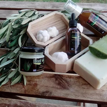 Appart hôtel Sea View Méthana