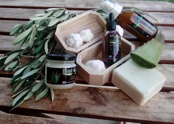 Apart Otel Sea View Méthana